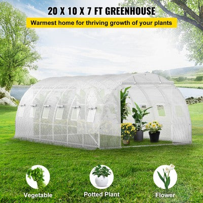 Walk-in Greenhouse 20'x10'x7' Hot Planter House Gardening Galvanized Frame White